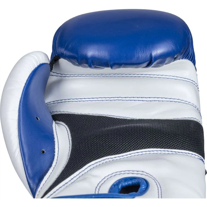 TOP TEN XLP Blue /White Boxing gloves, 2268-61 - Image 6