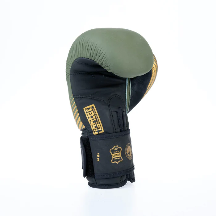 Fighter Boxing Gloves SPLIT Stripes - khaki/gold - Image 4